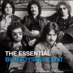 Blue Öyster Cult