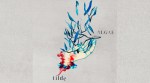 Tilde – Algae (2020)