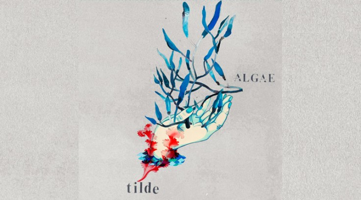 Tilde – Algae&nbsp;(2020)