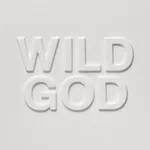 Nick Cave Wild God portada