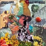 Mamas Gun portada