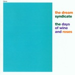The Dream Syndicate - The days of wine and roses