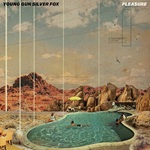 03 Young Gun Silver Fox - Pleasure